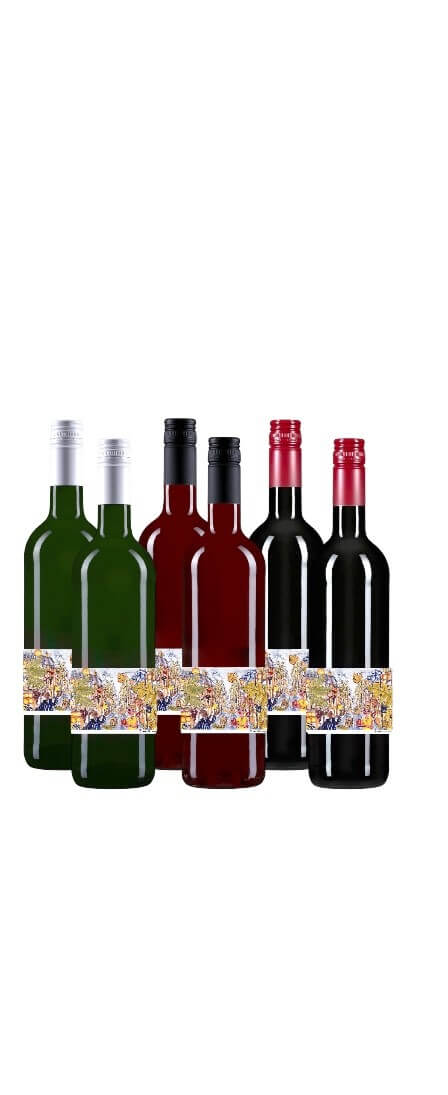 6er Weinpaket Giovane-Elber-Stiftung